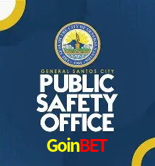 Design Responsivo Goinbet